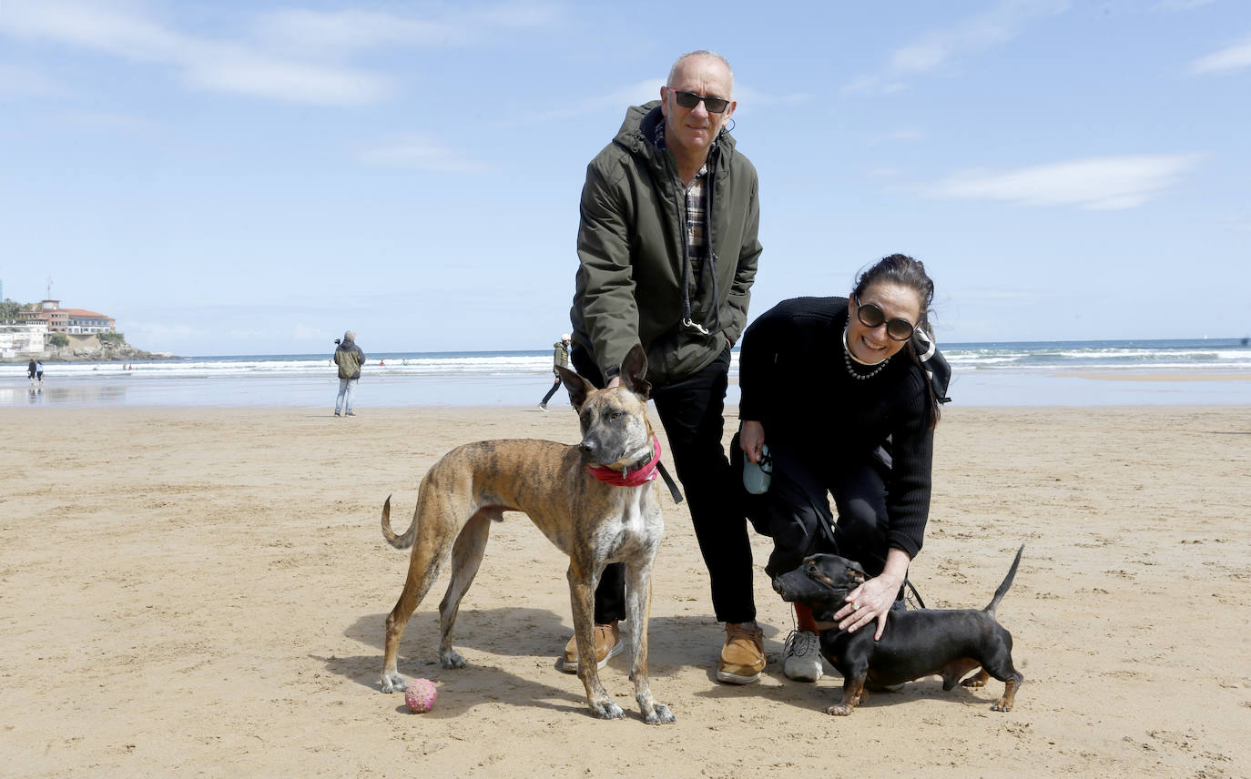 Los perros se despiden de San Lorenzo