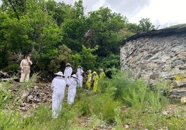 Un grupo de turistas se convierten en apicultores por un día.