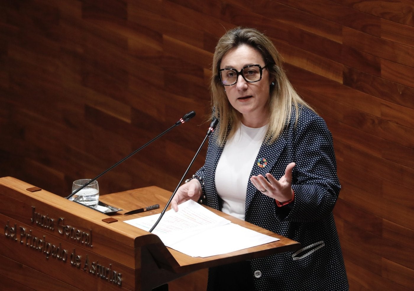 La consejera de Eduación, Lydia Espina, ayer, en la Junta General.
