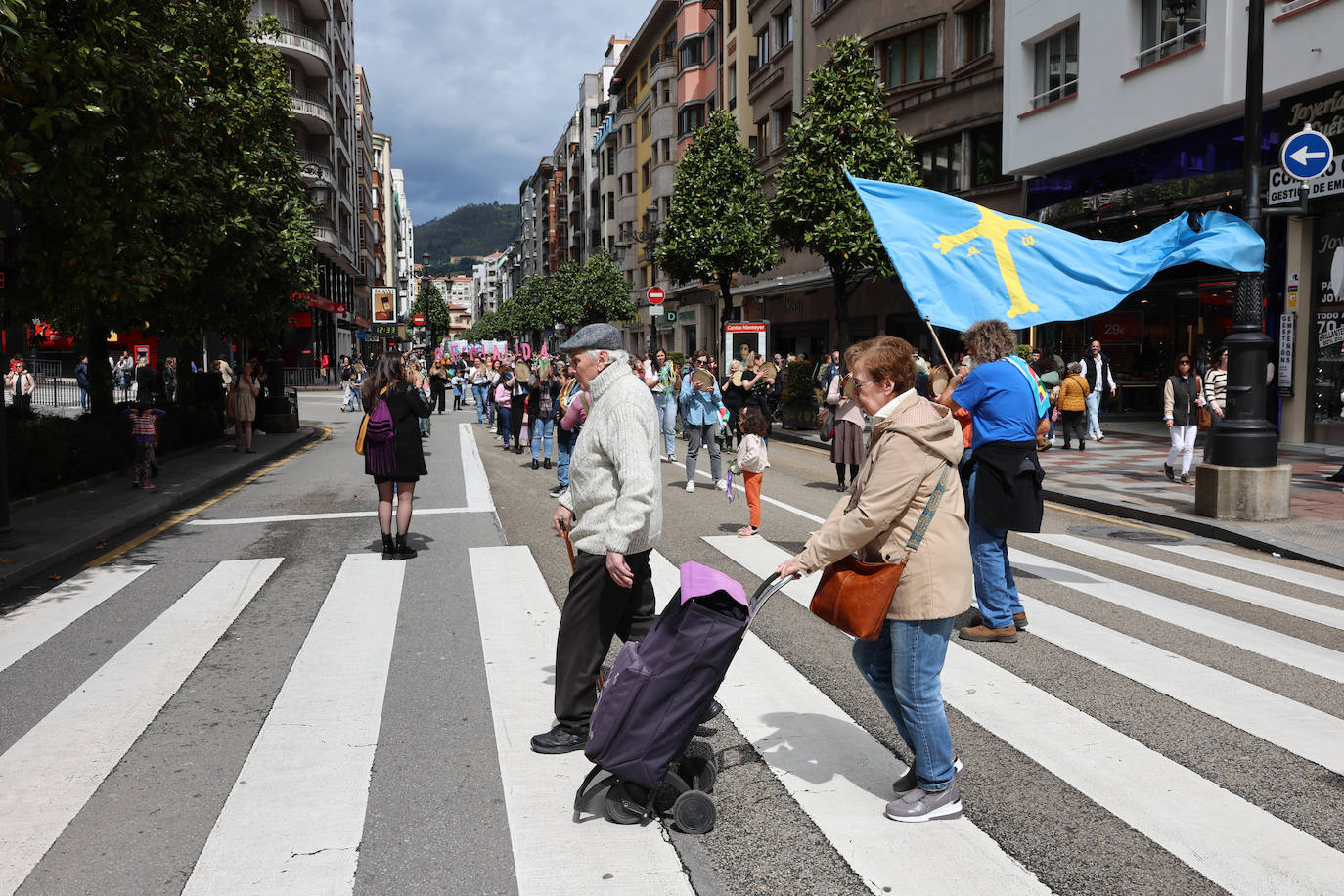 Las imágenes que deja la manifestación en Oviedo por la oficialidad del asturiano