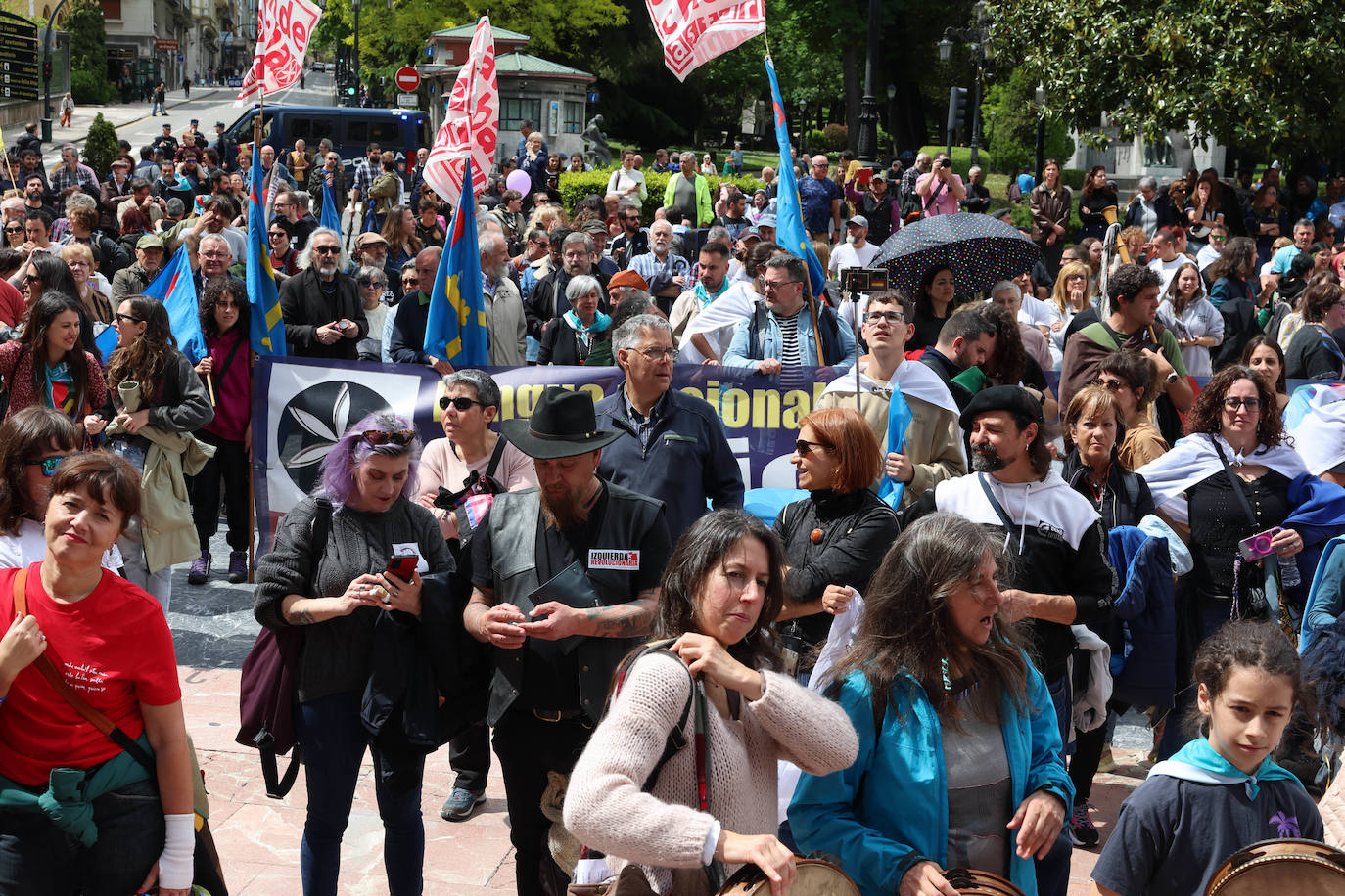 Las imágenes que deja la manifestación en Oviedo por la oficialidad del asturiano