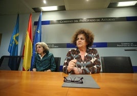 Marta del Arco, en su comparecencia.