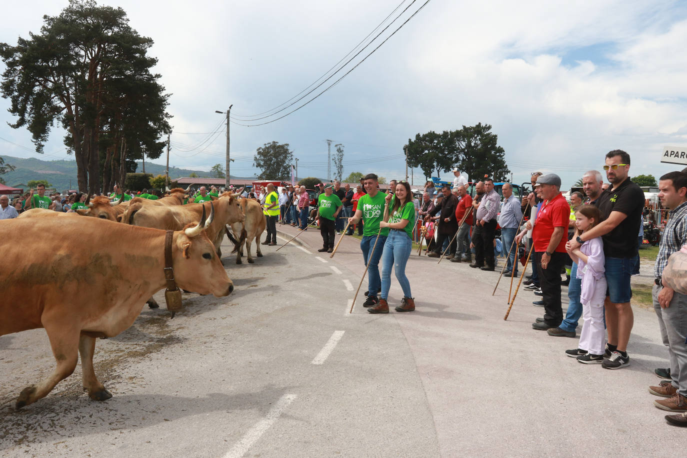 Llenazo en Llanera por la Feria del Ganado