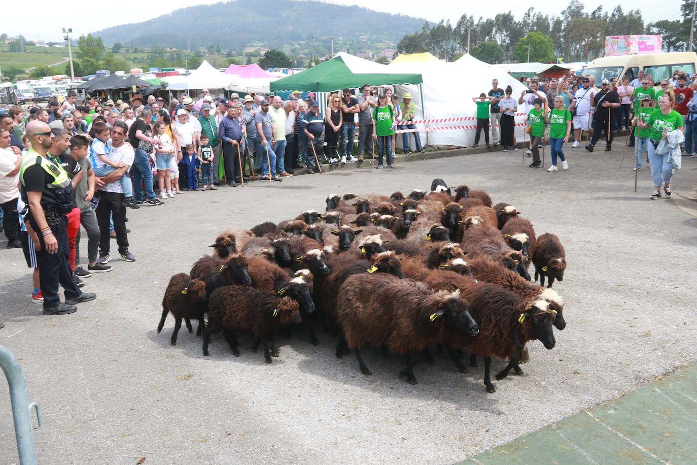 Llenazo en Llanera por la Feria del Ganado