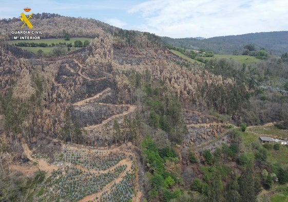 Vista aérea de la zona arrasada por el fuego, en Las Regueras.