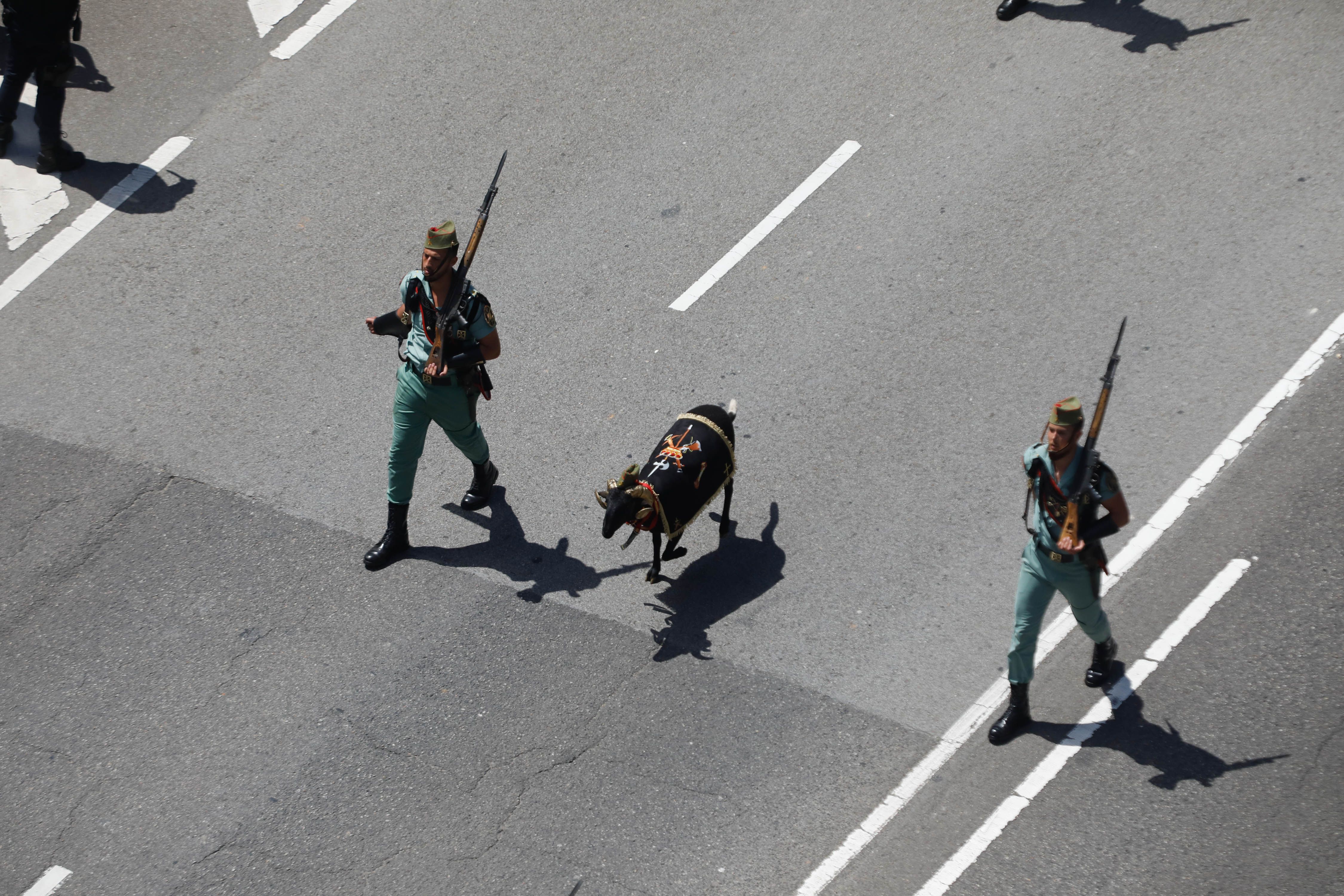 El desfile del Día de las Fuerzas Armadas, desde arriba