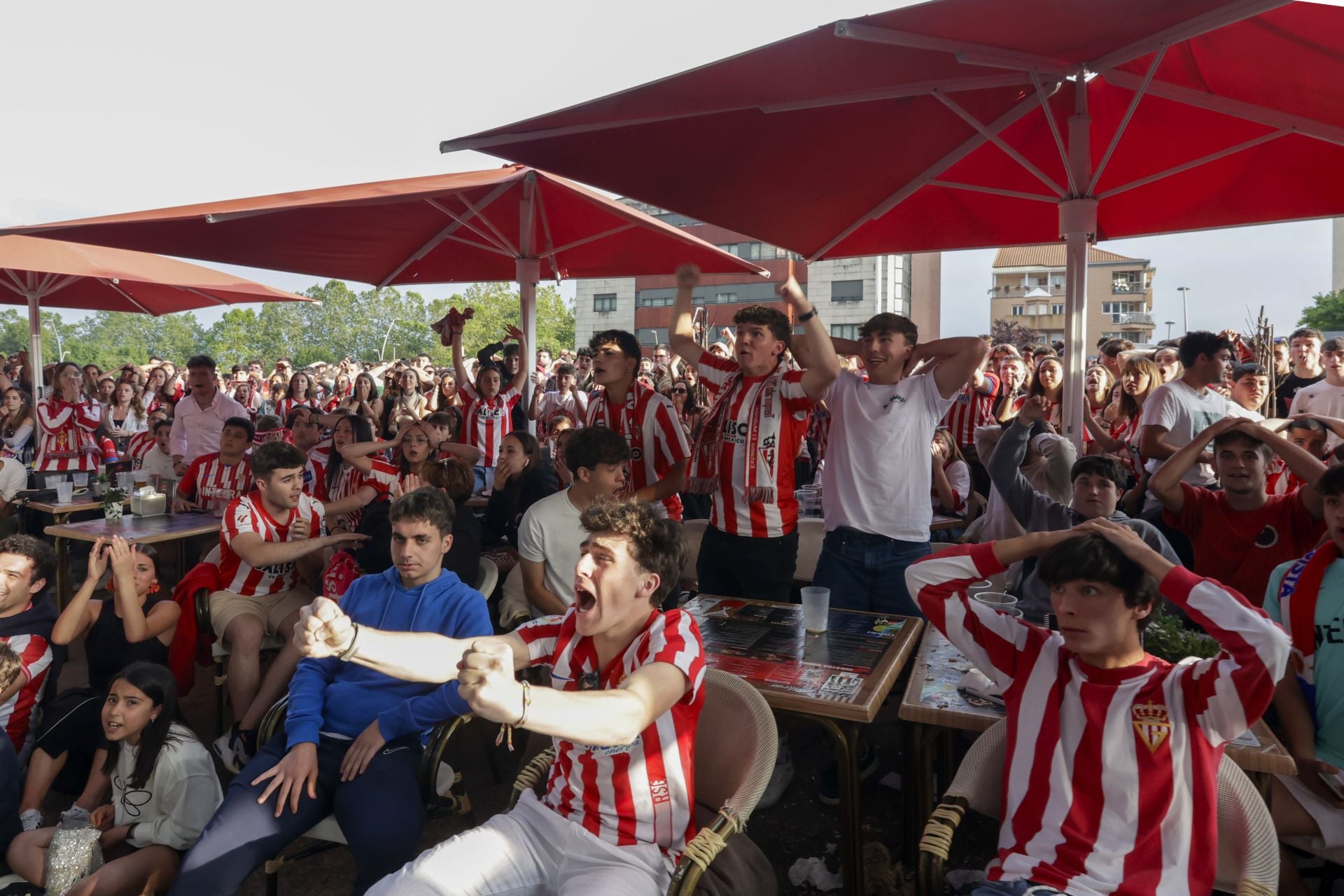 Éxtasis en Gijón tras la victoria del Sporting