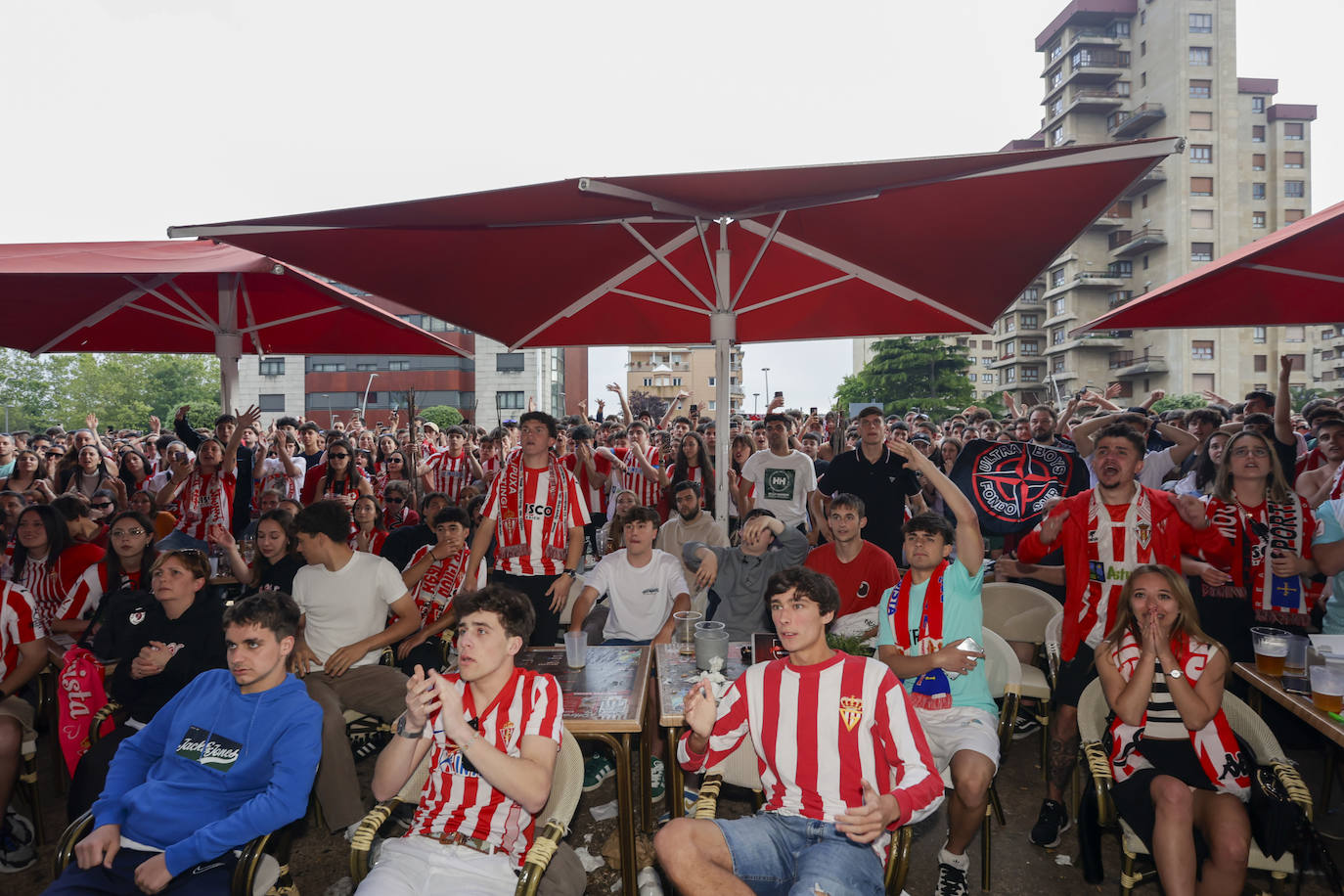 Éxtasis en Gijón tras la victoria del Sporting