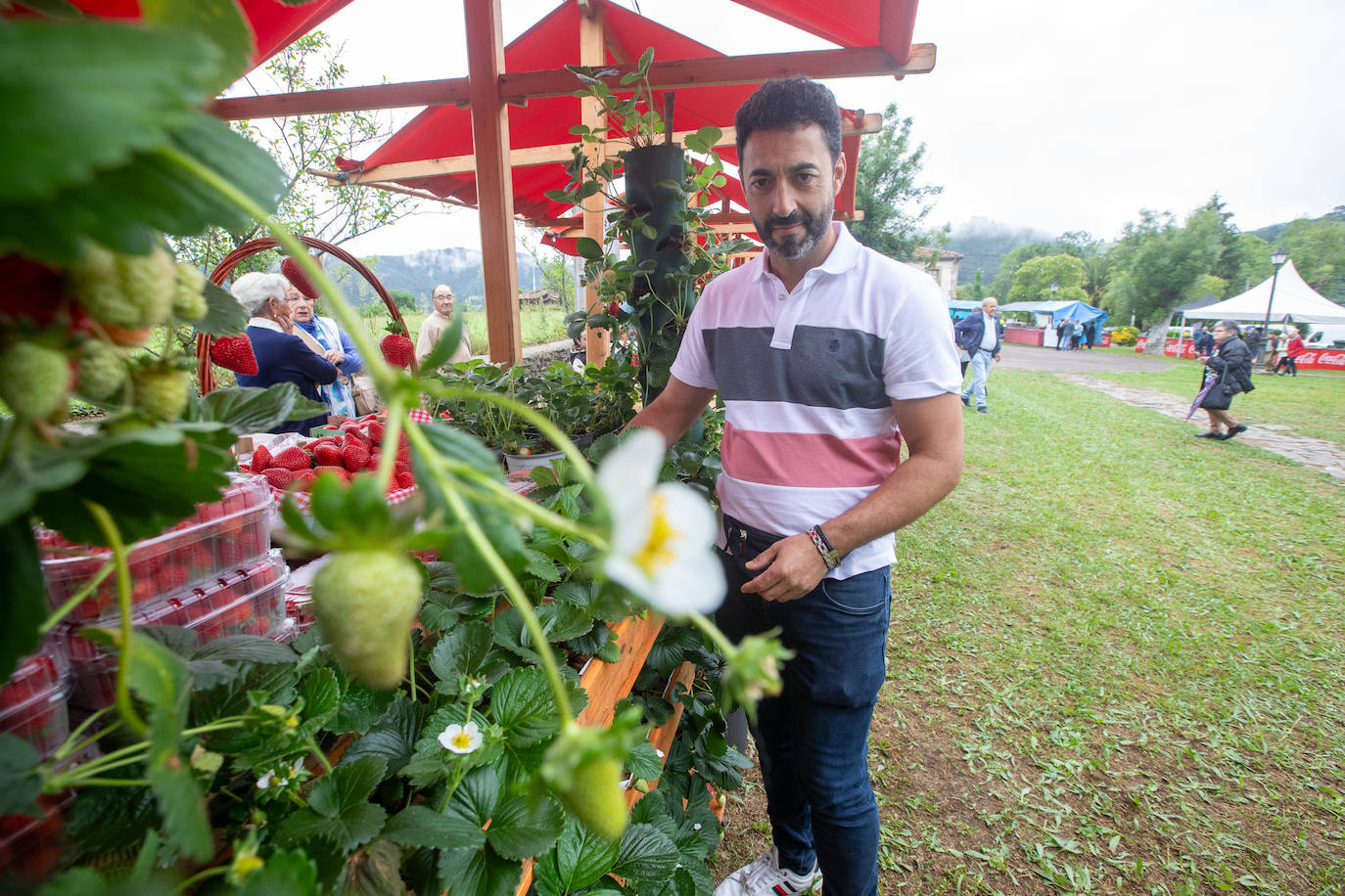La fresa de Candamo cada año está mejor: un festival lleno de sabor