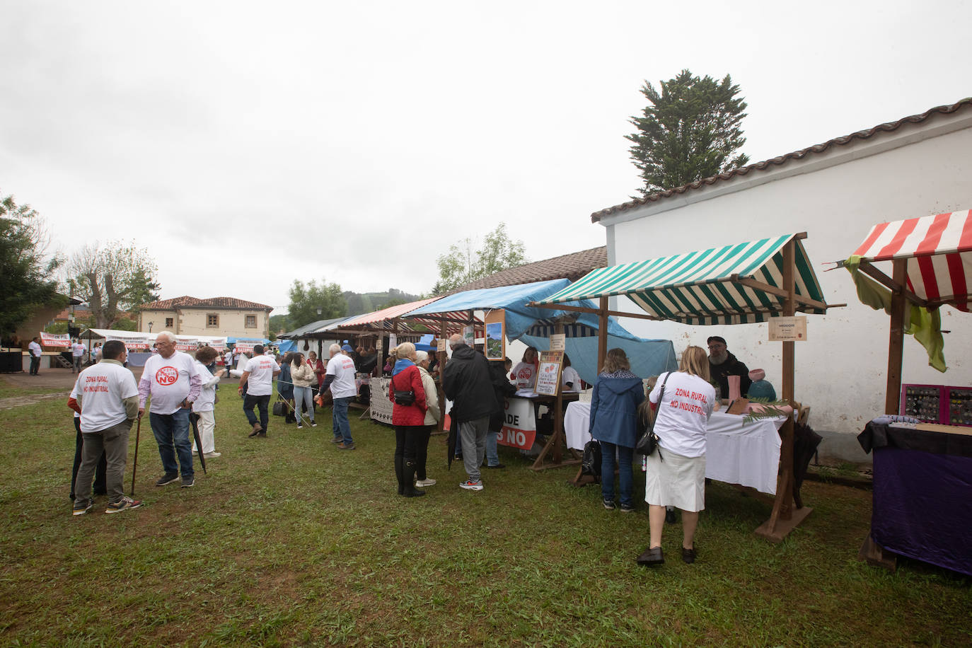 La fresa de Candamo cada año está mejor: un festival lleno de sabor
