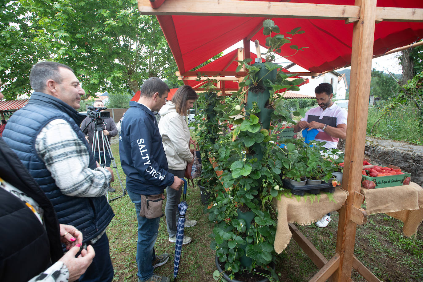 La fresa de Candamo cada año está mejor: un festival lleno de sabor