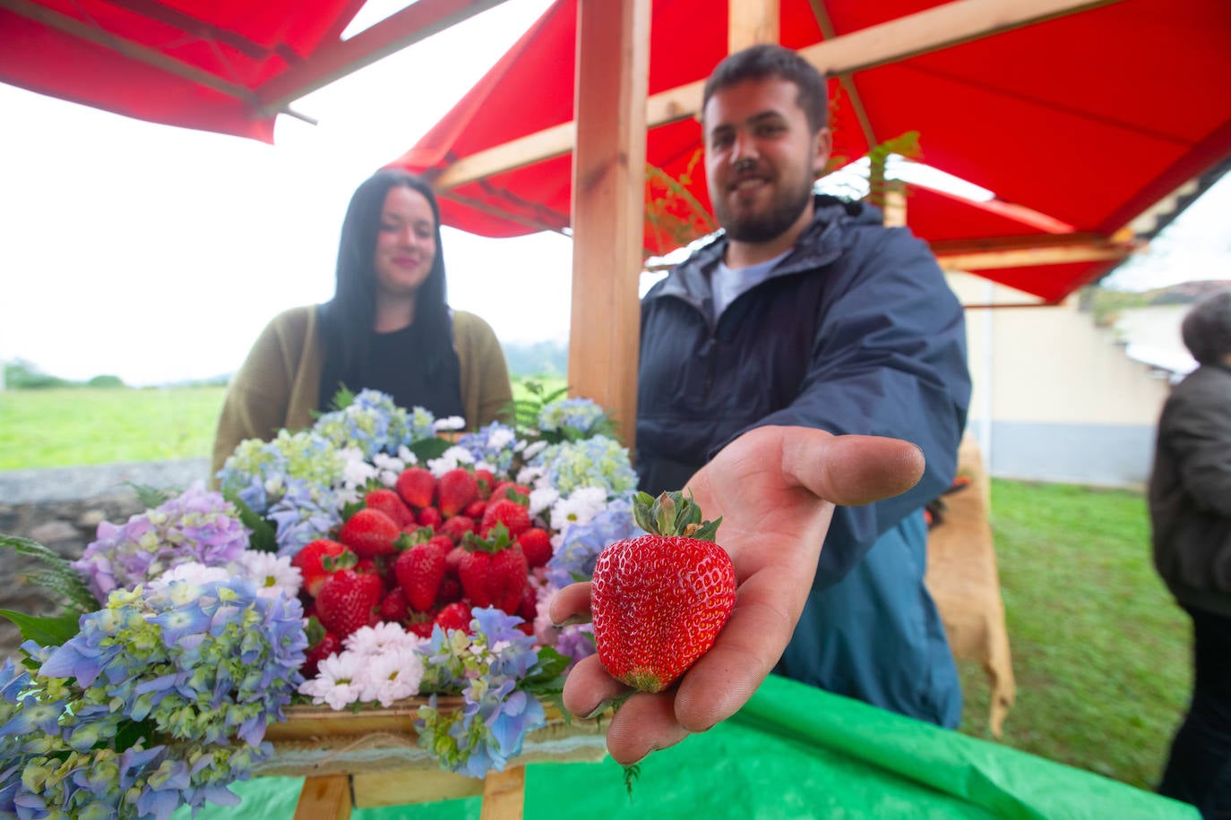 La fresa de Candamo cada año está mejor: un festival lleno de sabor