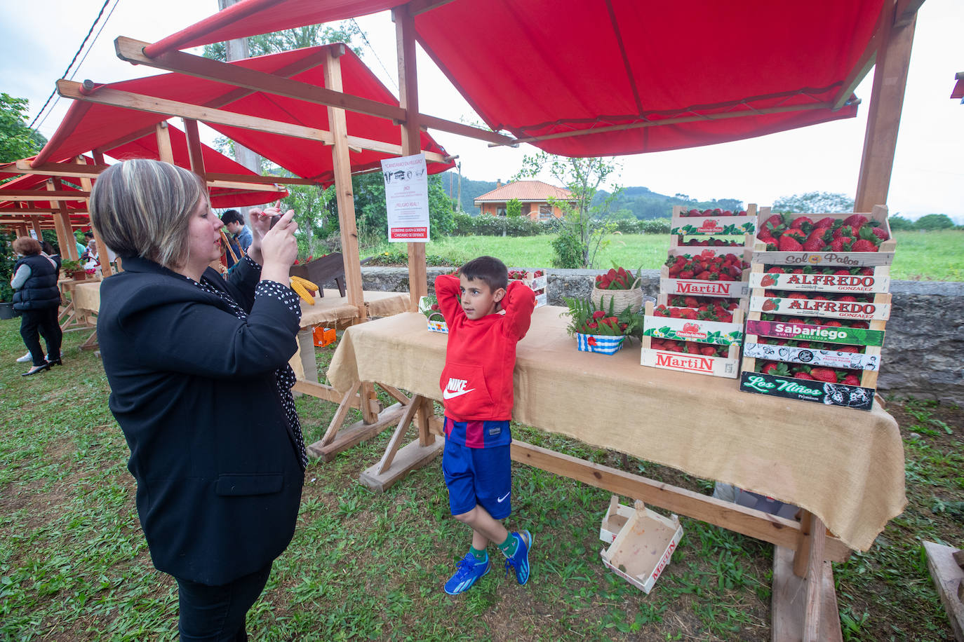 La fresa de Candamo cada año está mejor: un festival lleno de sabor