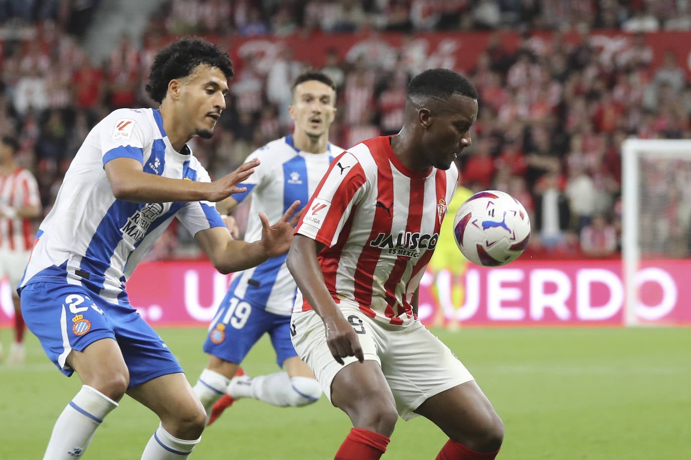 Las mejores imágenes del partido entre el Sporting y el Espanyol