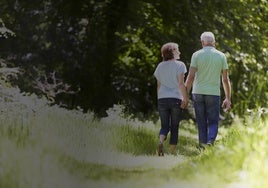 Una pareja de personas mayores dando un paseo al aire libre.