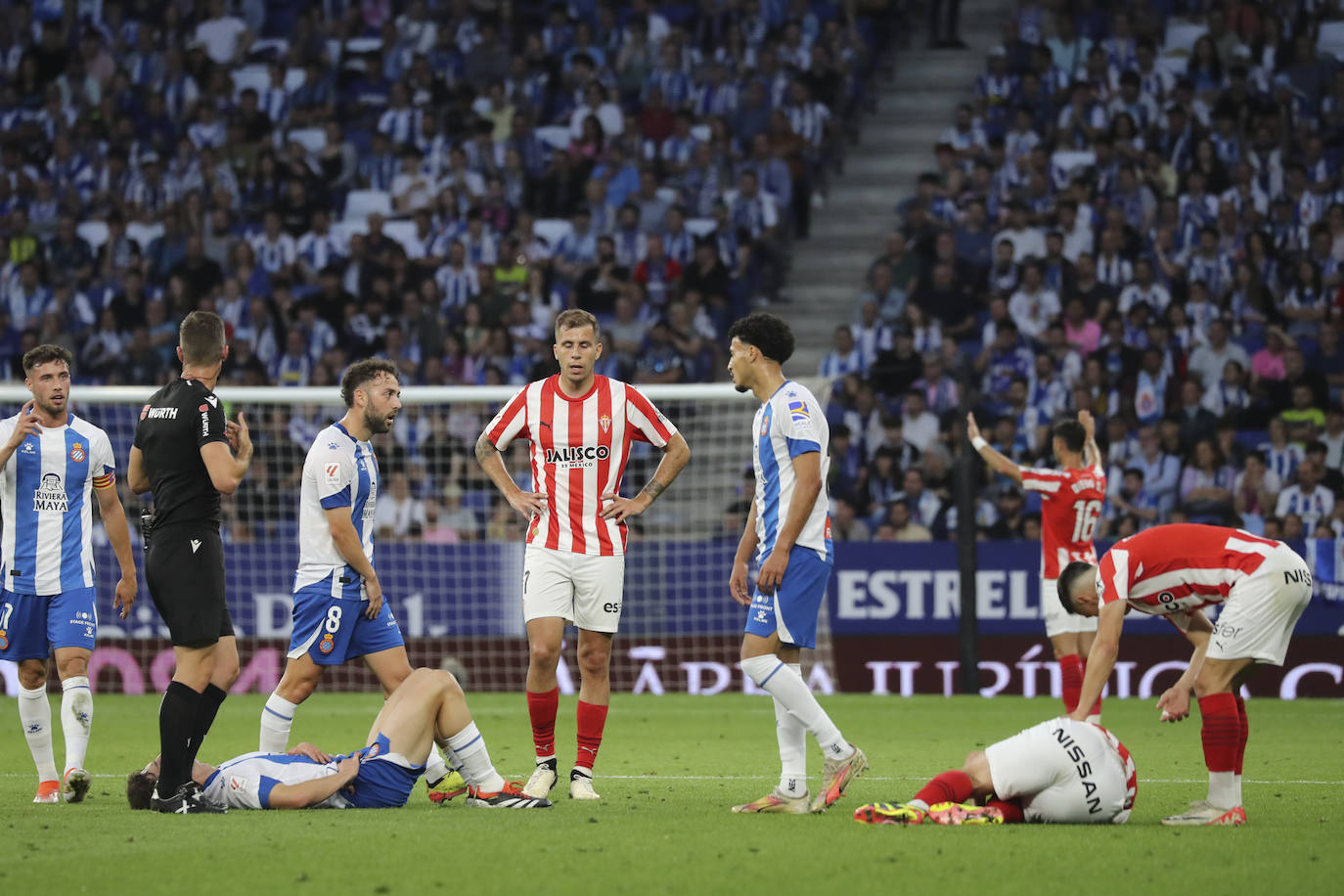 Las mejores imágenes del Espanyol - Sporting