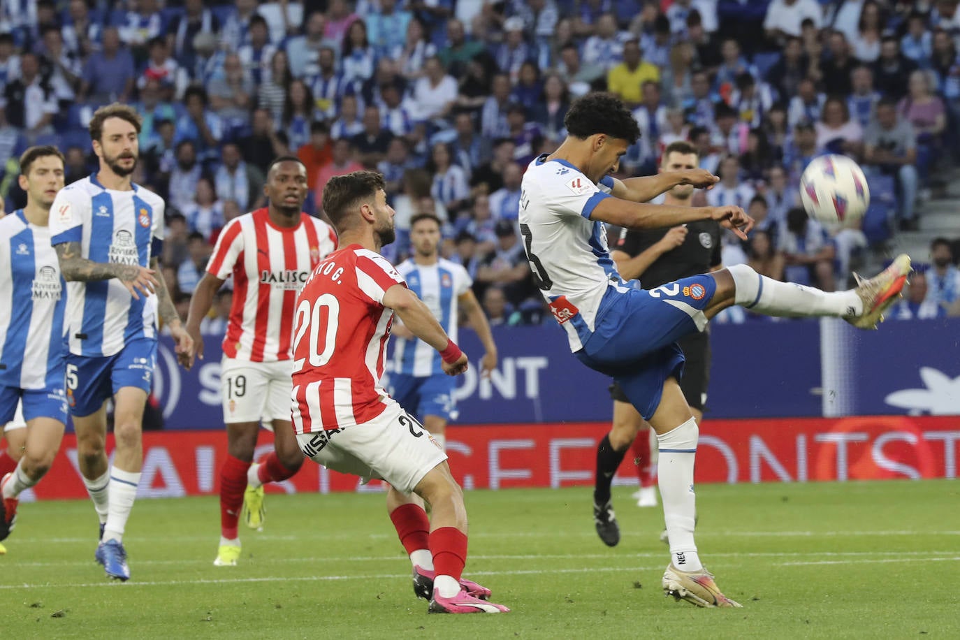 Las mejores imágenes del Espanyol - Sporting