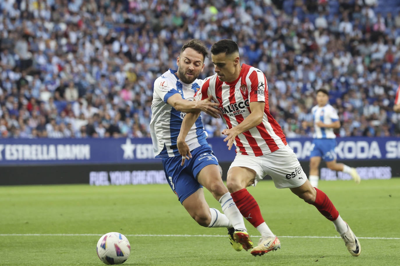 Las mejores imágenes del Espanyol - Sporting