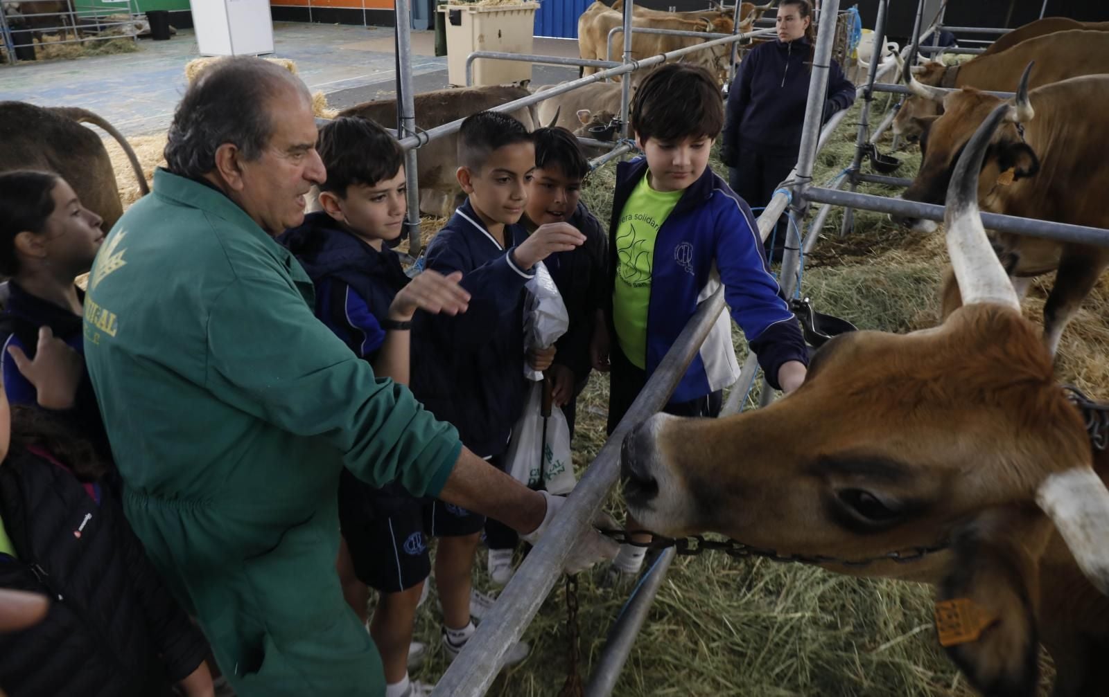 La Feria de San Antonio de Gijón, en imágenes