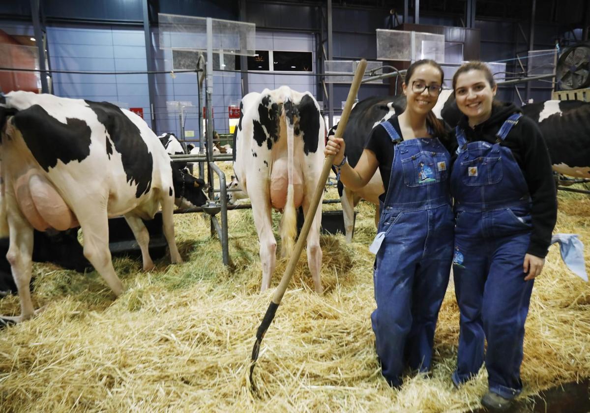 La Feria de San Antonio de Gijón, una cita «de mucho nivel»