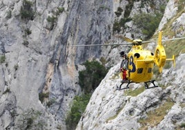 Un helicóptero del SEPA.