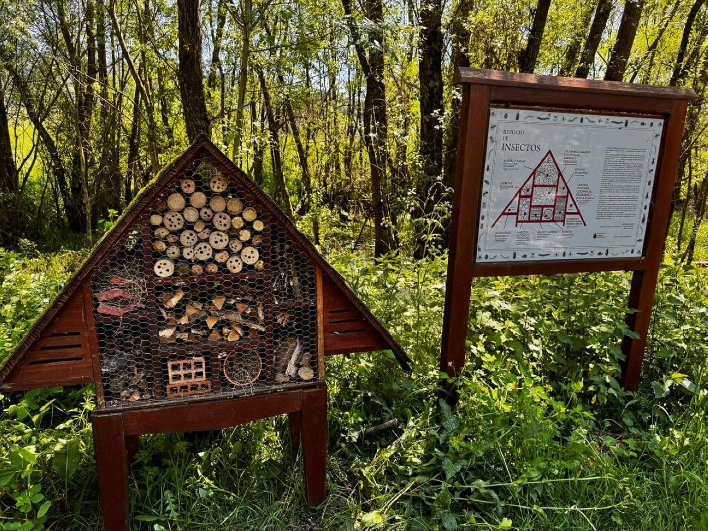 Grado recupera el Jardín de las mariposas del río Cubia