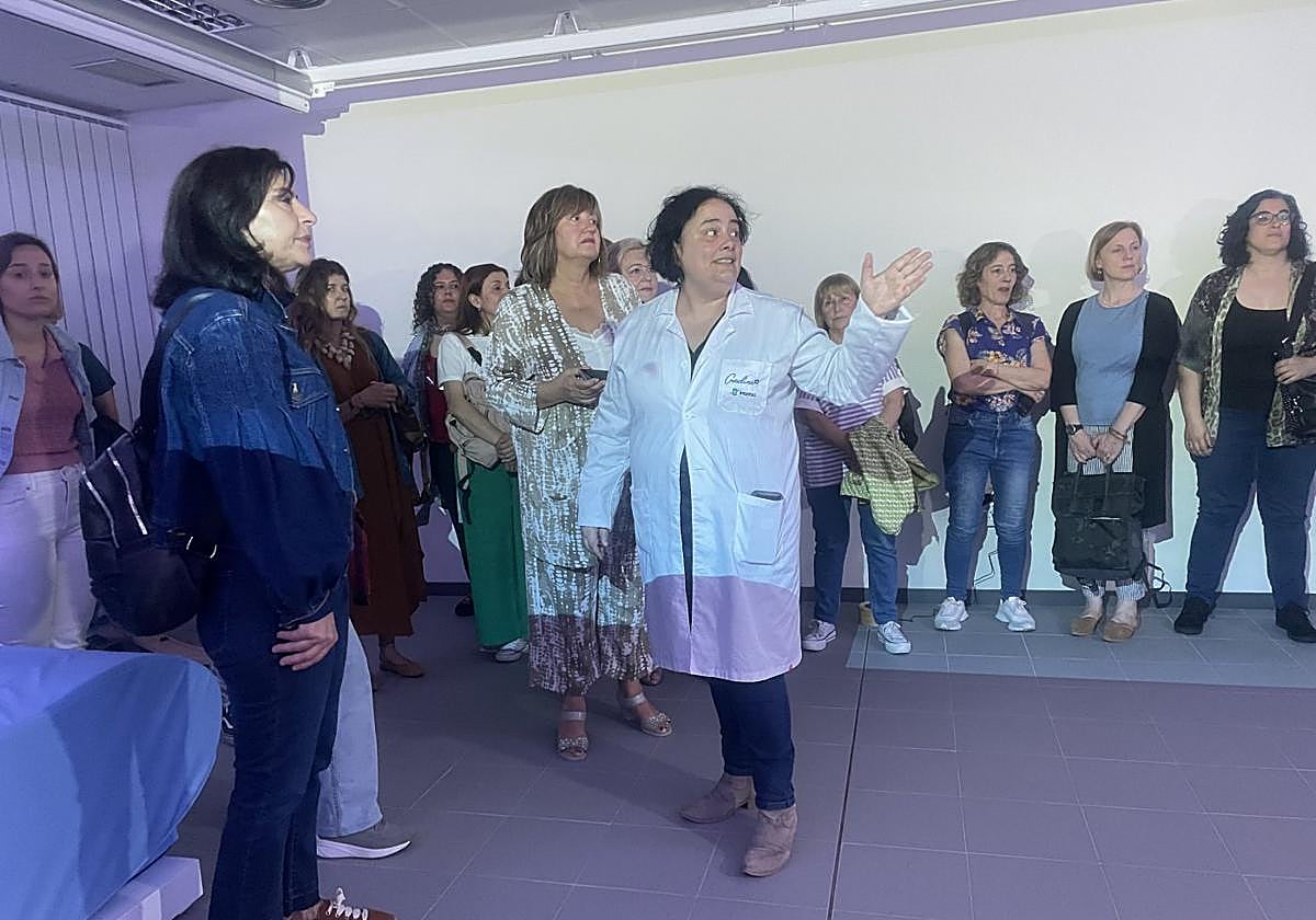 La directora del Credine explica al personal de los centros de día asturianos el funcionamiento de la sala multisensorial.