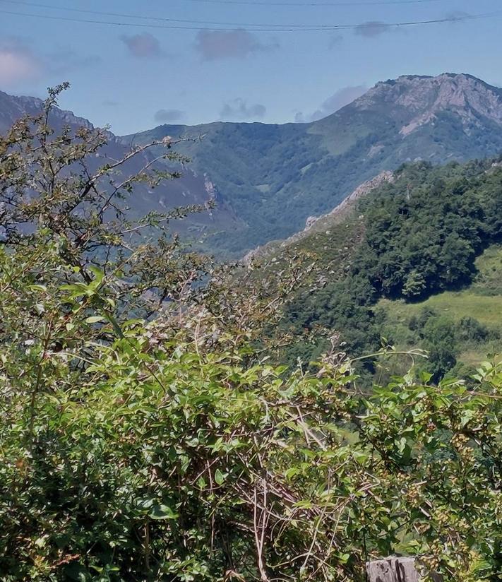 Imagen secundaria 2 - Ruta a Vega Baxu, una majada a más de 1.000 metros en el Parque Natural de Redes