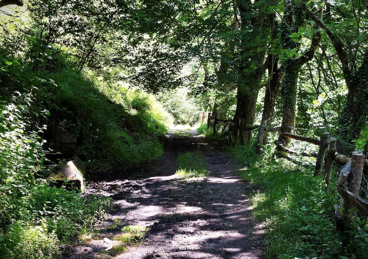 Imagen principal - Ruta a Vega Baxu, una majada a más de 1.000 metros en el Parque Natural de Redes