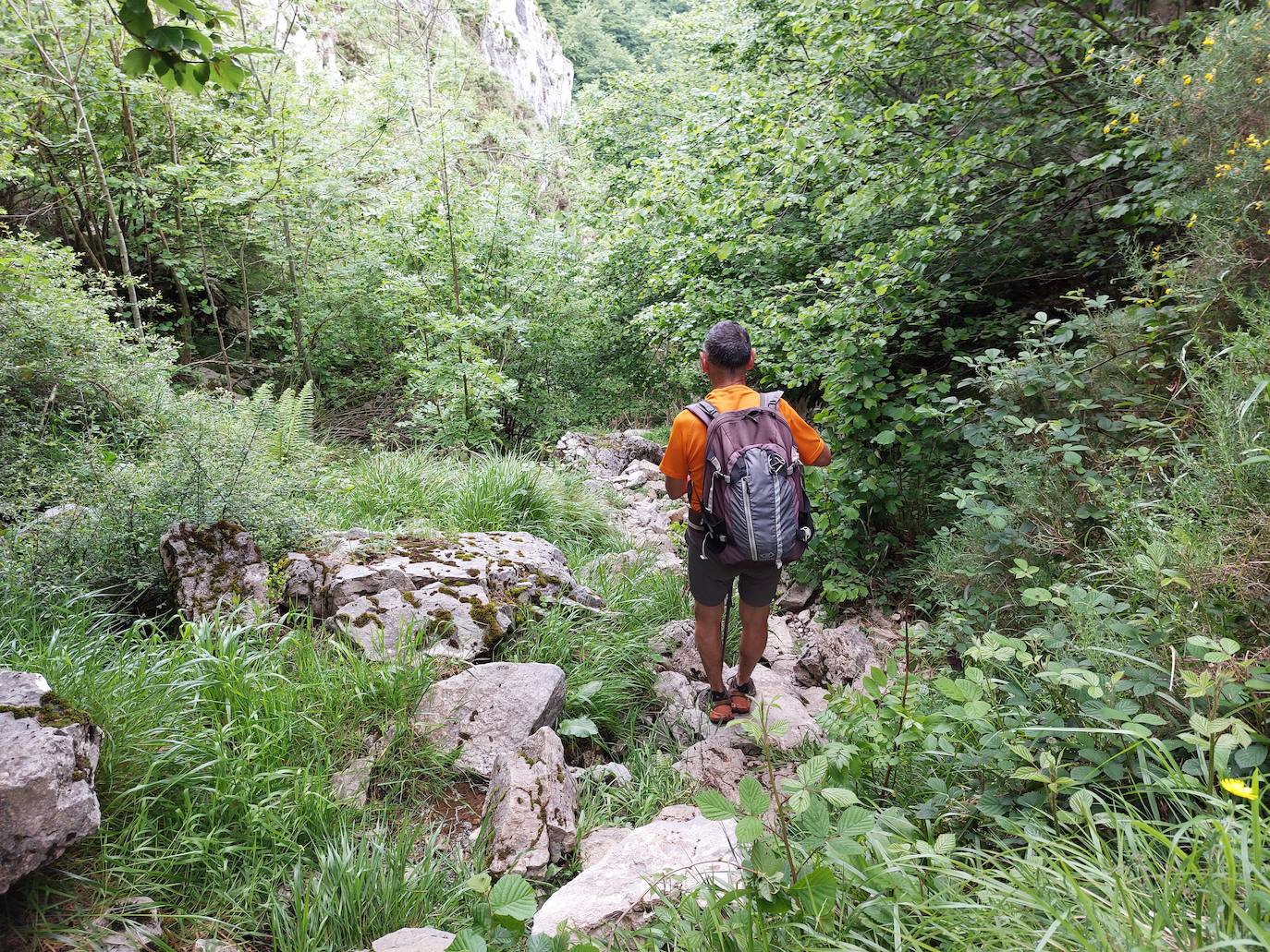 Entre bosques asturianos: los paisajes de la ruta a las cumbres del Maciedome y el Tiatordos