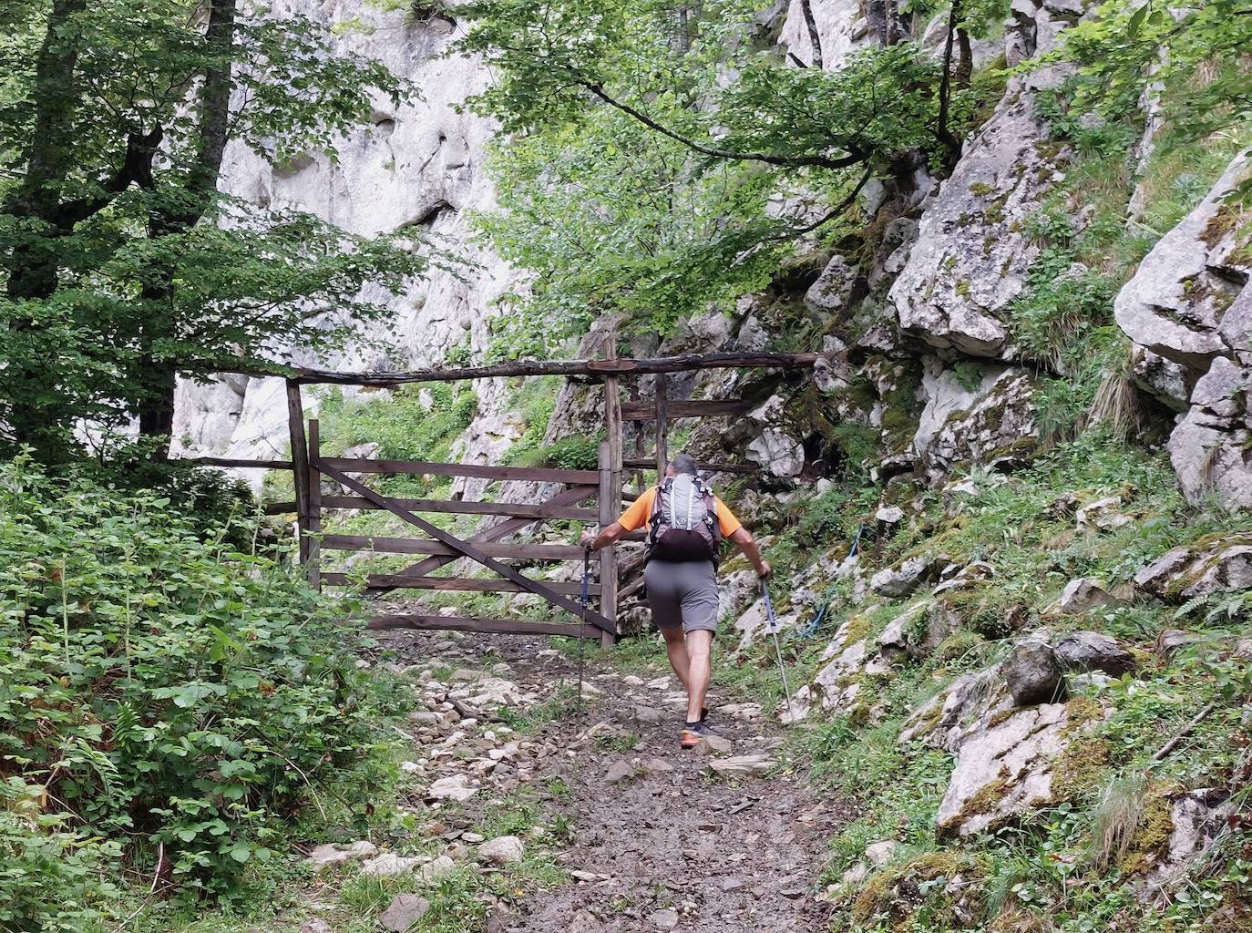 Entre bosques asturianos: los paisajes de la ruta a las cumbres del Maciedome y el Tiatordos