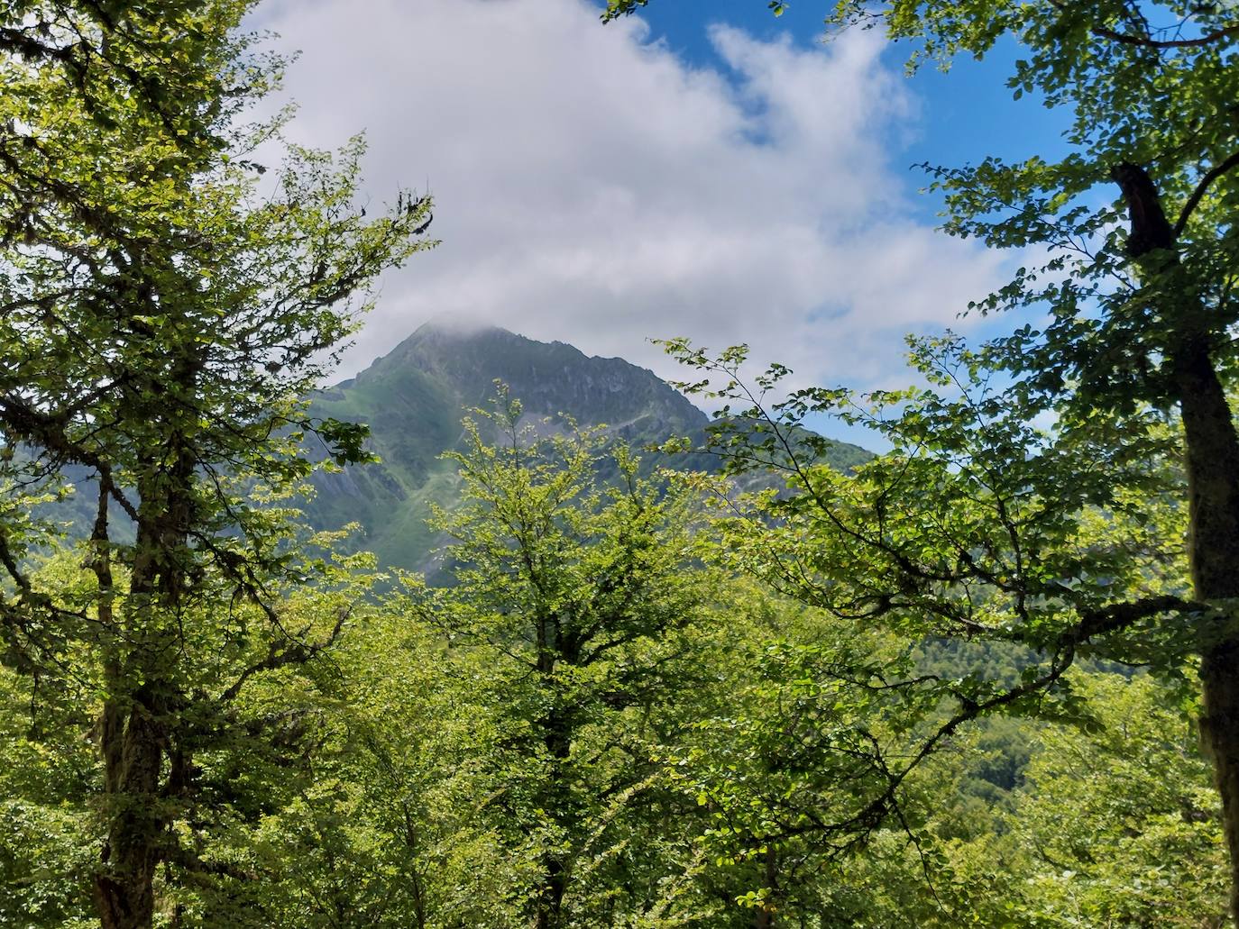 Entre bosques asturianos: los paisajes de la ruta a las cumbres del Maciedome y el Tiatordos