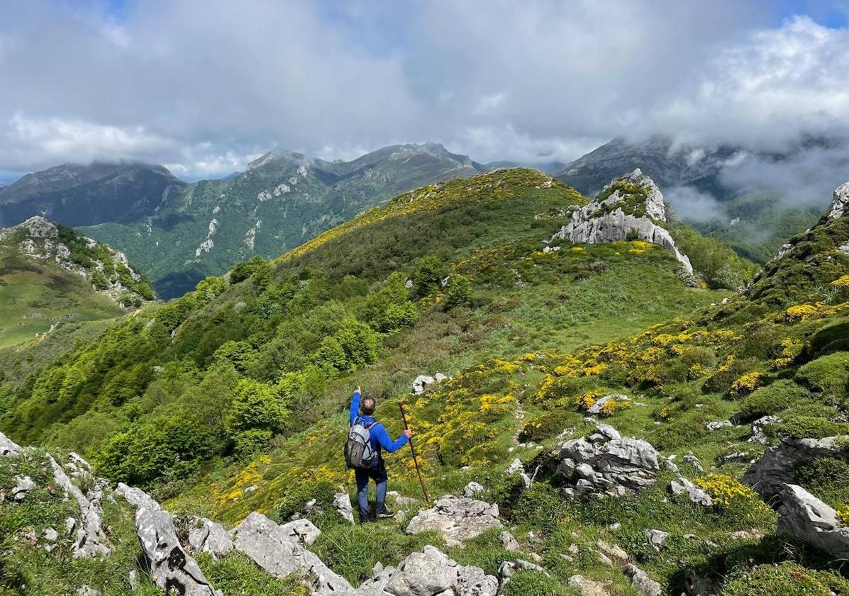 Imagen principal - Una ruta llena de bosque al Maciedome y al Tiatordos