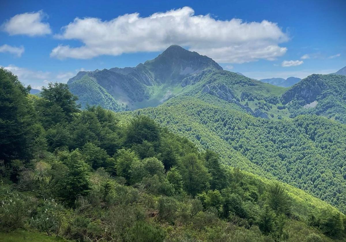 Vistas al Tiatordos rodeado de frondosos bosques.