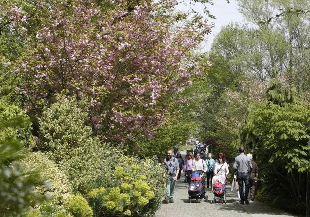 Familias visitando el Jardín Botánico.