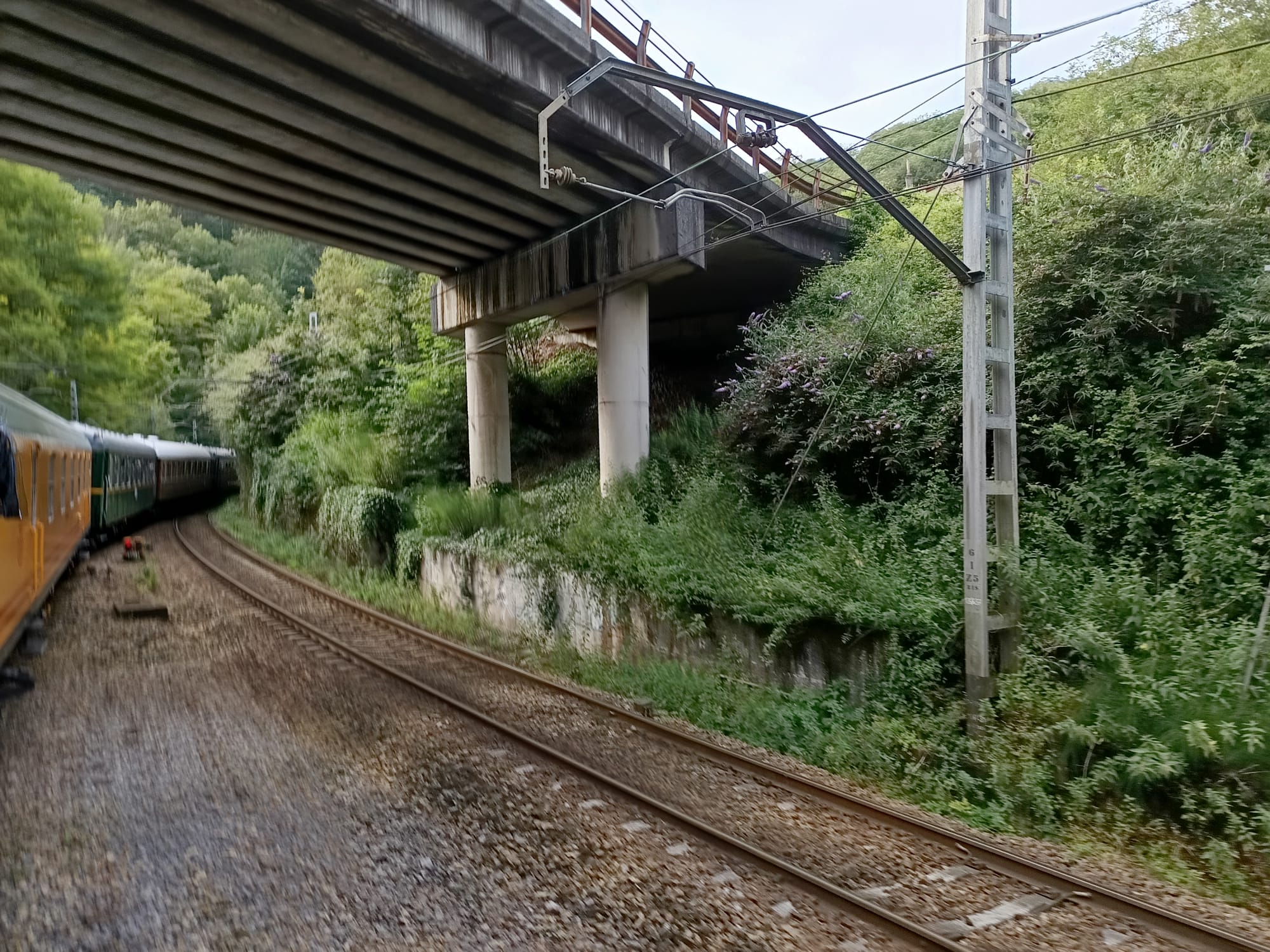 Un tren histórico recorre la rampa de Pajares