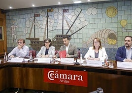 Nieves Roqueñí, segunda por la izquierda, en las jornadas de ayer de la Cámara.