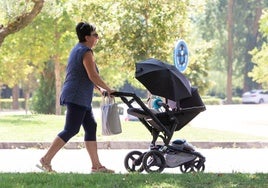 Una mujer empuja el carrito de un bebé en un parque.