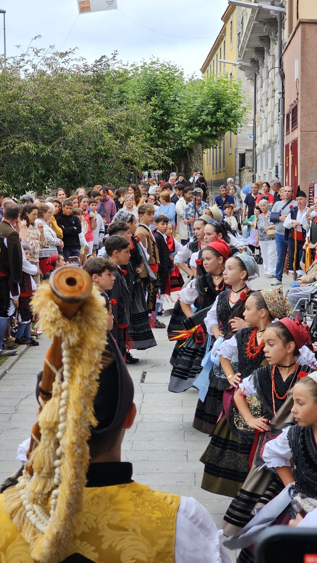 El triunfo de los claveles en Llanes