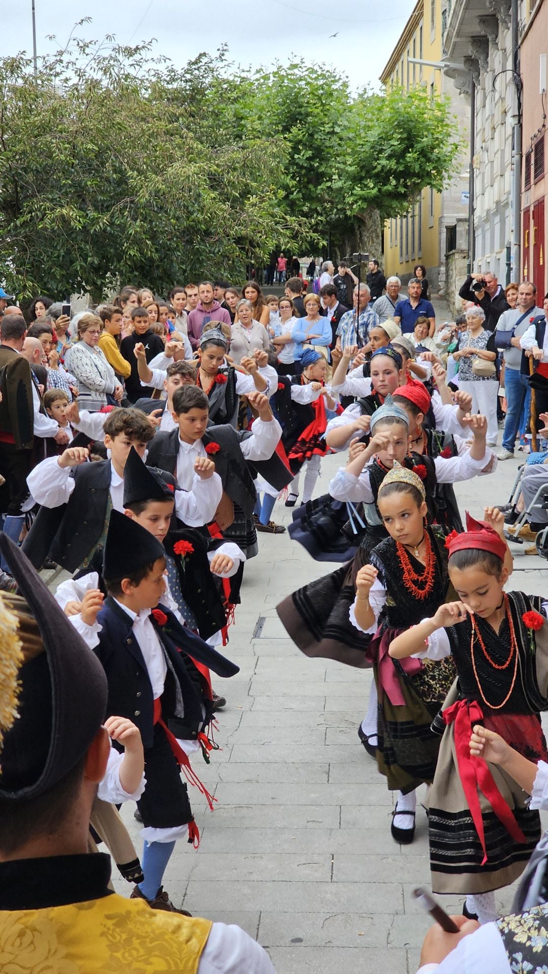 El triunfo de los claveles en Llanes