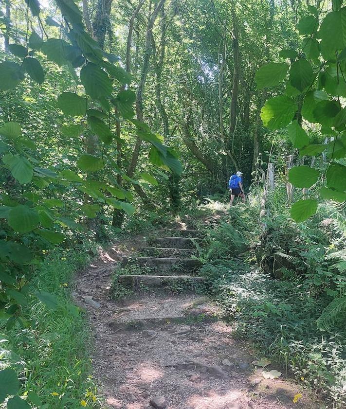 Imagen secundaria 2 - Paisaje del Desfiladero de las Xanas/ vistas hacia Dosango y Pedroveya/ camino que enlaza Peña Rey con ruta de las Xanas en la ermita de Pedroveya