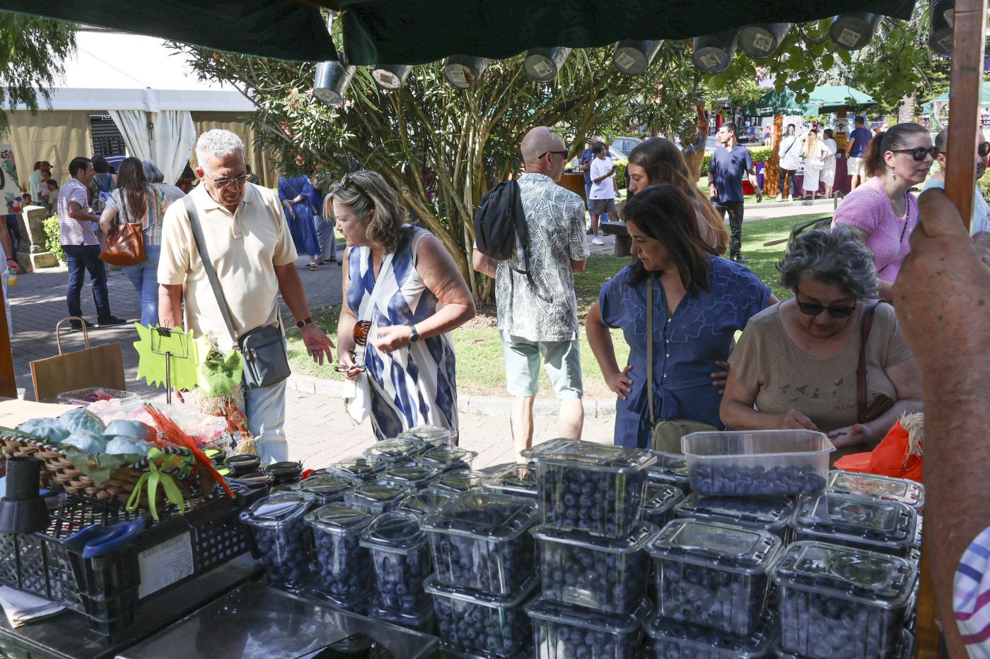 Al poco de abrir al público, el mercado de la novena Feria del Arándano y los Frutos Rojos del parque Ballina se llenó rápidamente.