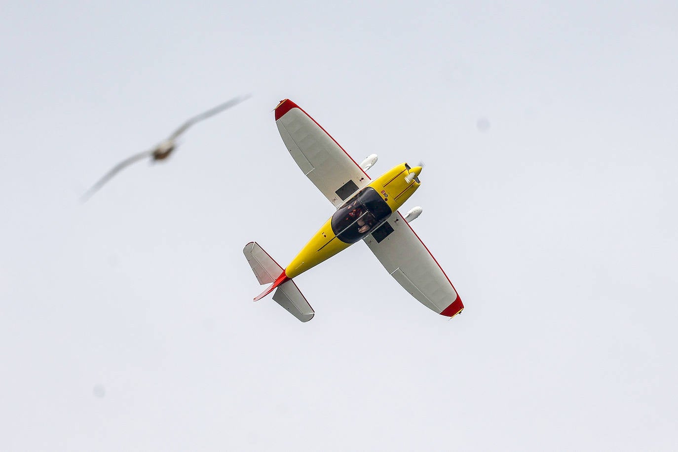 Festival Aéreo Internacional: Gijón disfruta del espectáculo en el cielo