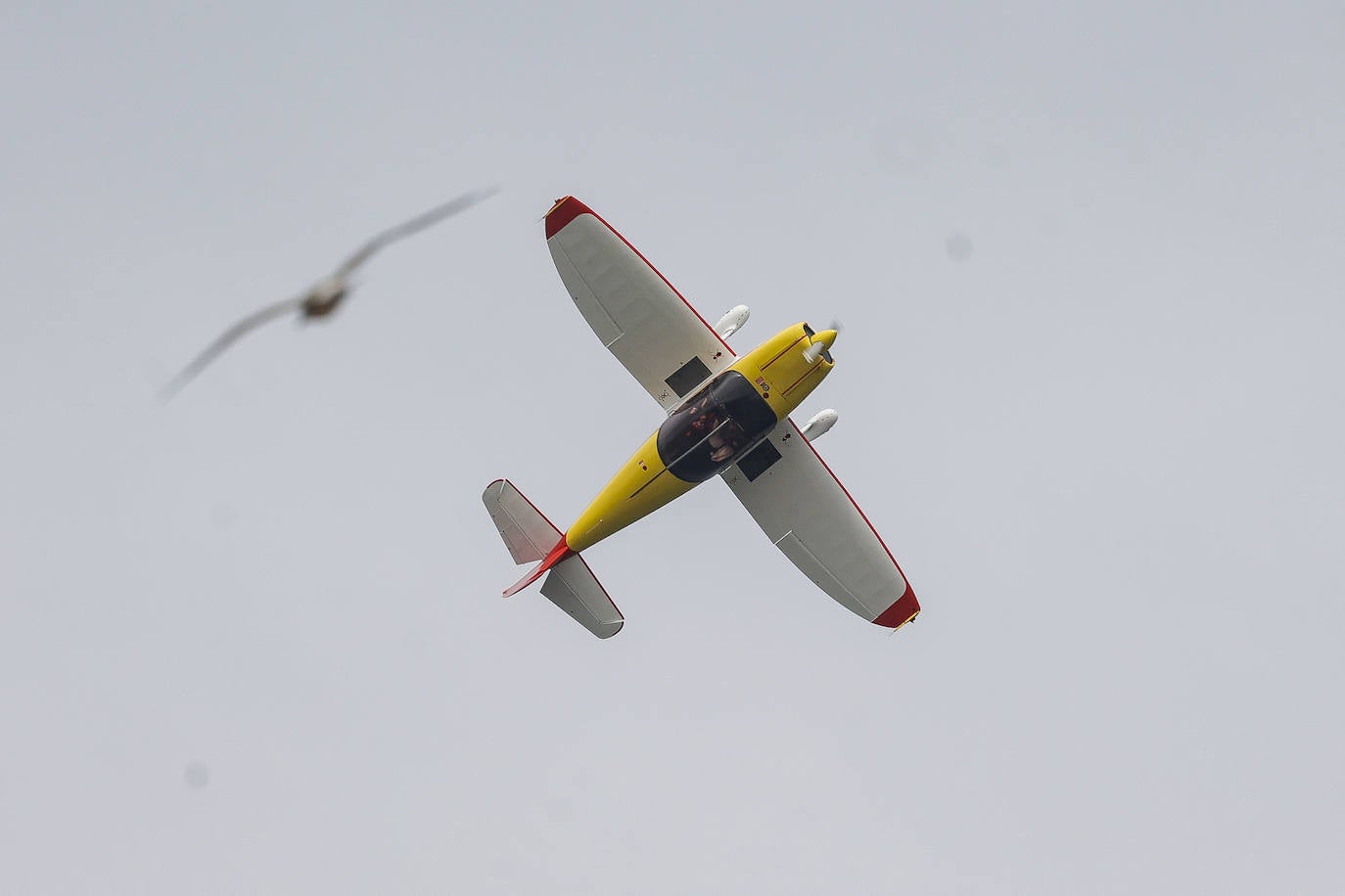 Festival Aéreo Internacional: Gijón disfruta del espectáculo en el cielo