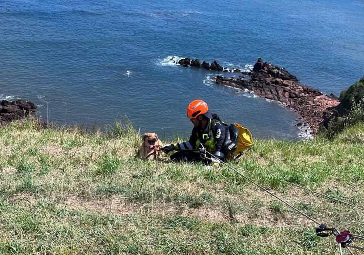 Un bombero con la perrita accidentada.