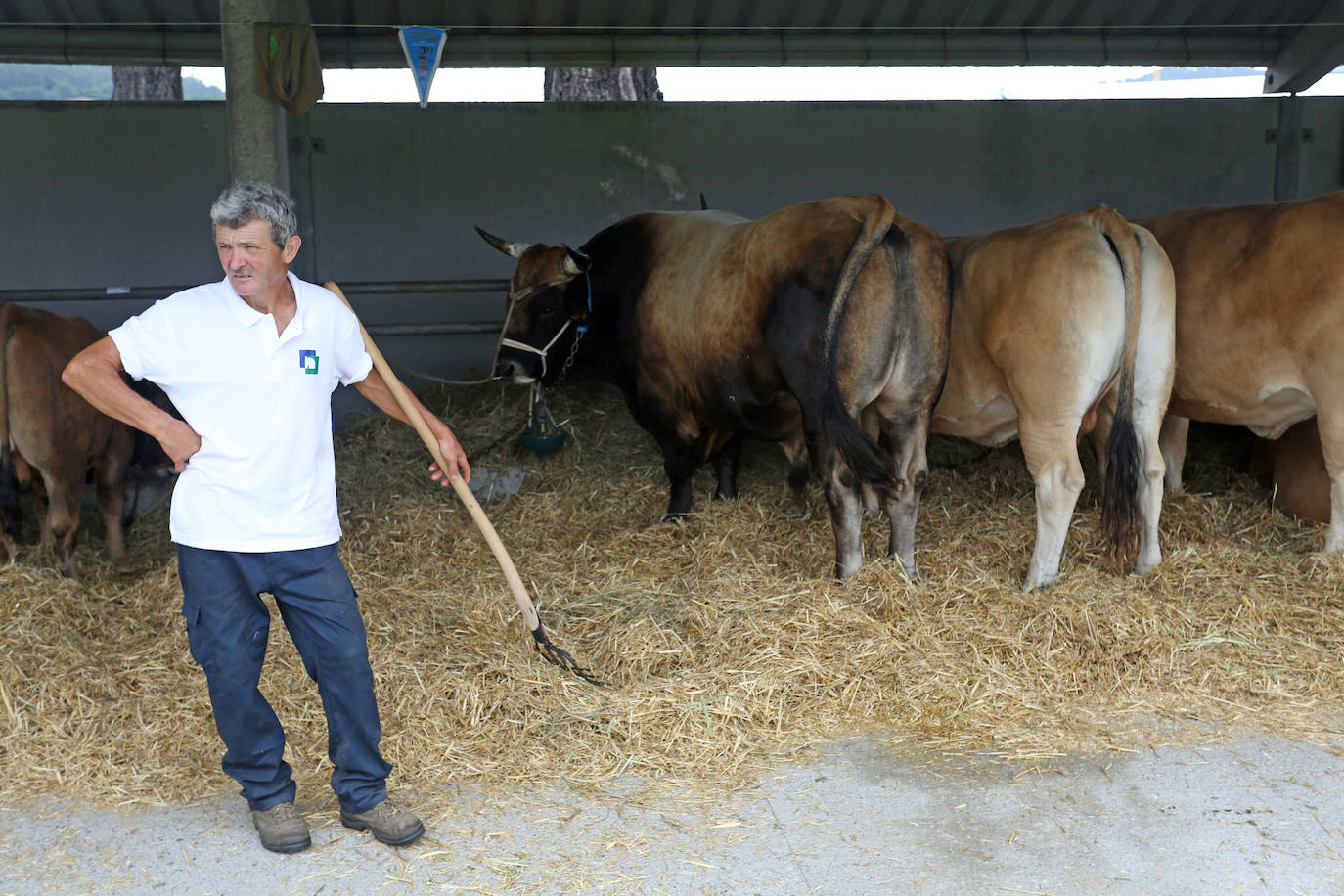 La 49ª Feria Agroalimentaria de Llanera, en imágenes