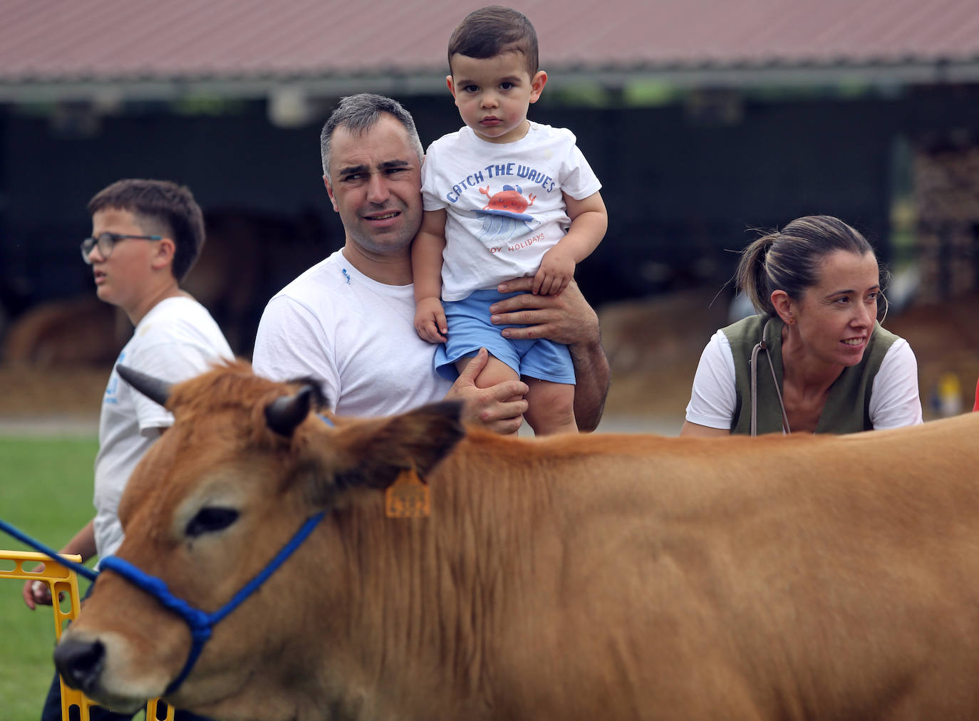 La 49ª Feria Agroalimentaria de Llanera, en imágenes