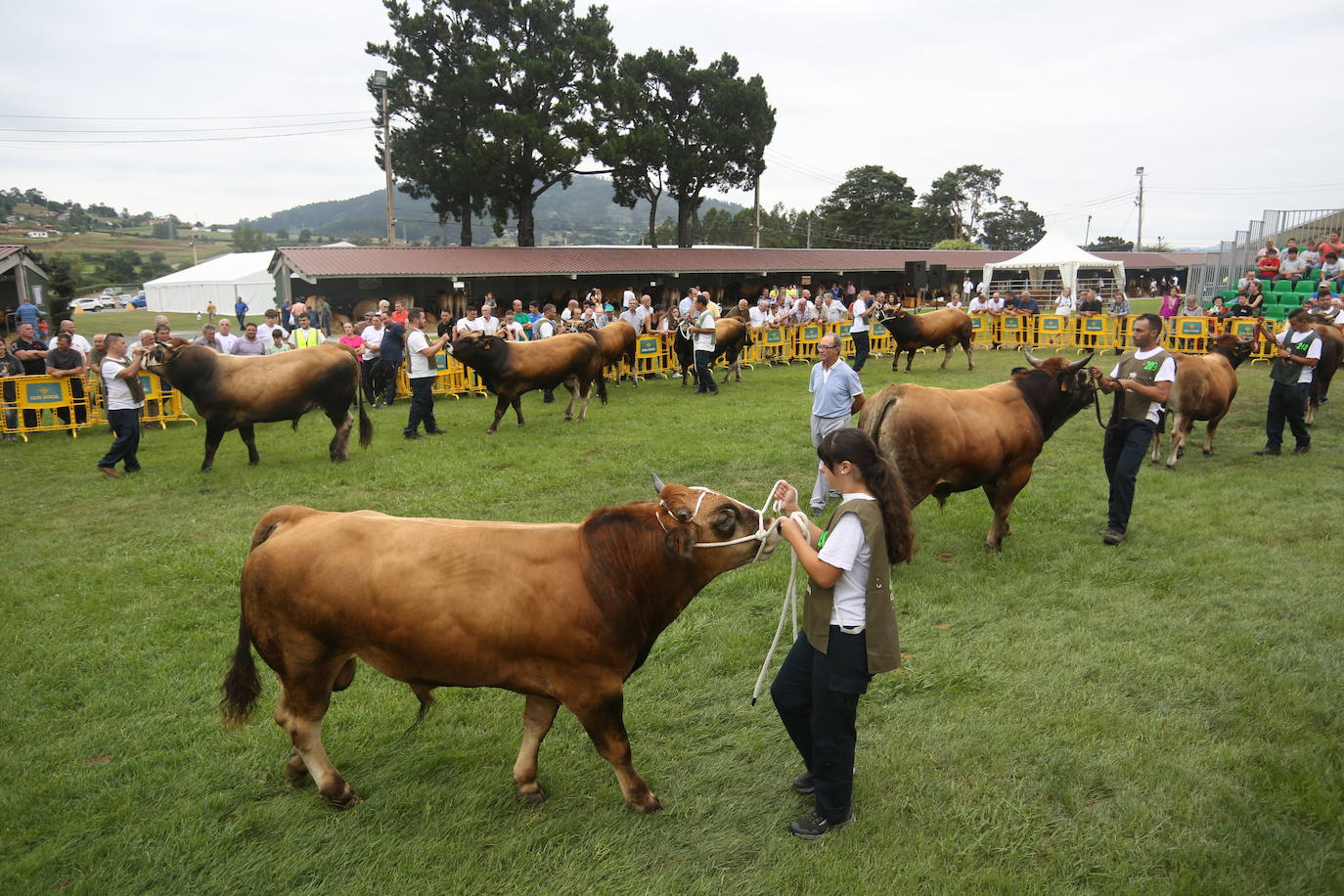 La 49ª Feria Agroalimentaria de Llanera, en imágenes