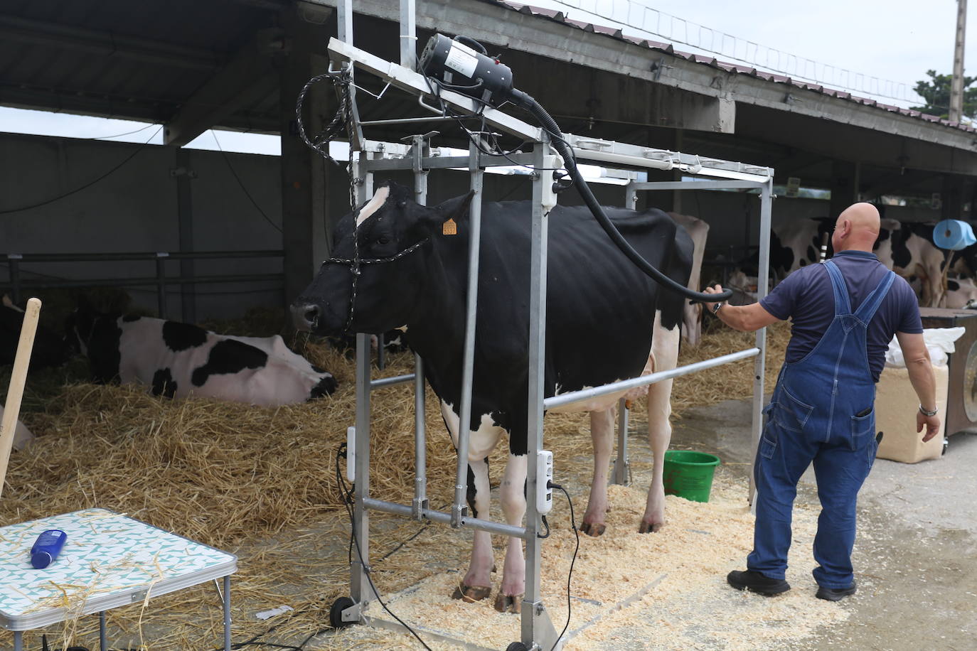 La 49ª Feria Agroalimentaria de Llanera, en imágenes