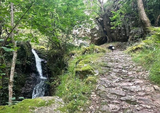 Un camino empedrado y antiguo por la espesura y la orilla del agua es el sendero medieval que conduce hasta Banduxu